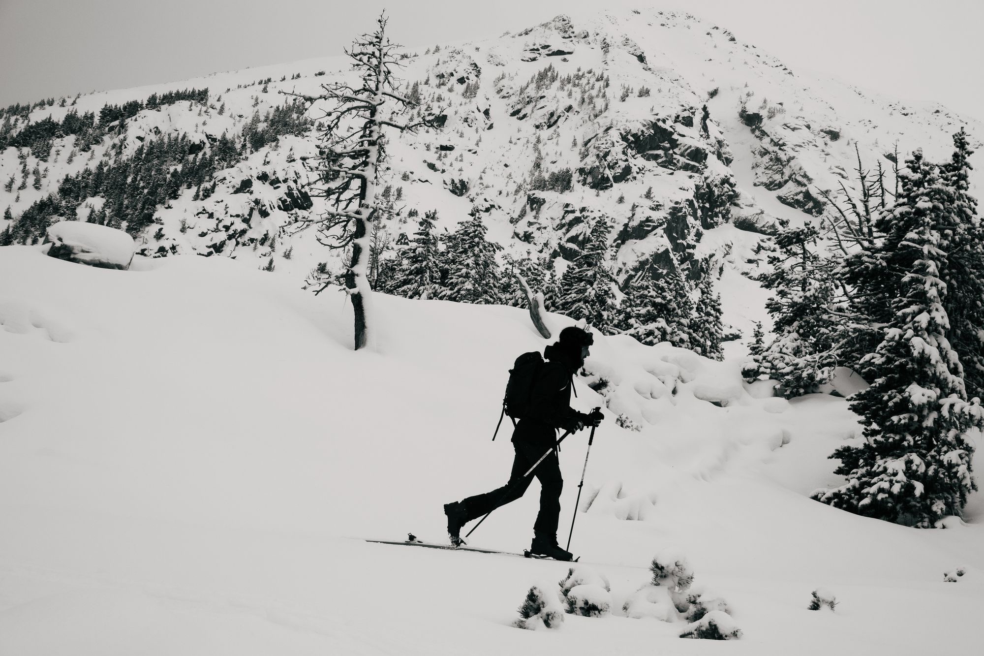 Skier in silhouette below a rocky ridge with snowy pines
